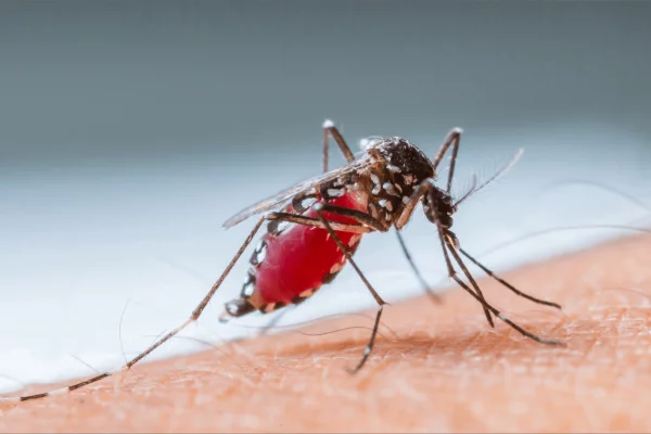 DENGUE! Joven de 33 años muere en Corrientes