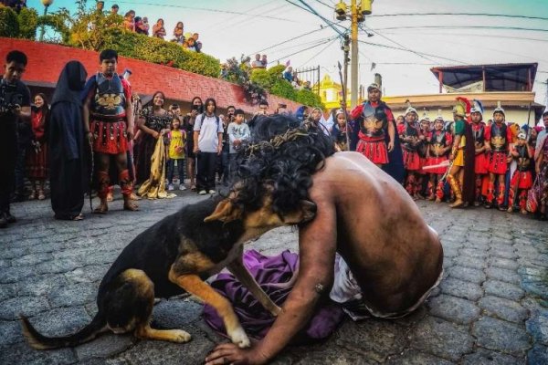 CONMOVEDOR! Perro consuela a Jesús en el viacrucis luego de recibir latigazos reales