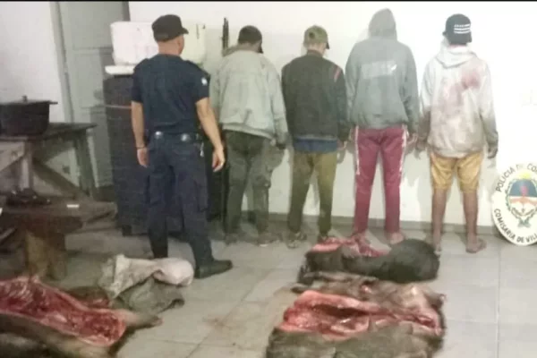 Corrientes: detuvieron a 6 cazadores furtivos, transportaban armas de fuego y animales faenados