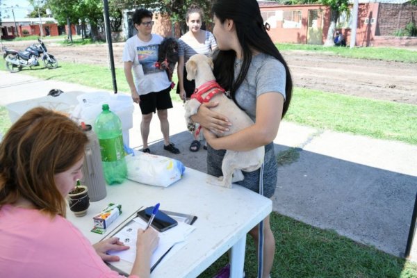 Mascotas saludables: prestaciones gratuitas en barrios Laguna Seca y Molina Punta