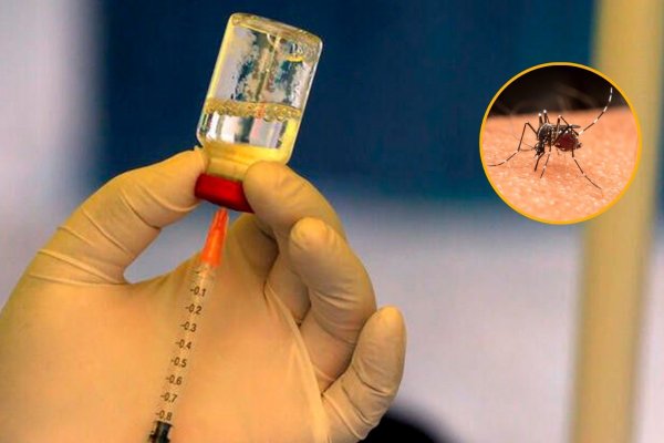 Vacuna contra el dengue en Corrientes: iniciará en comunas del norte provincial y capital