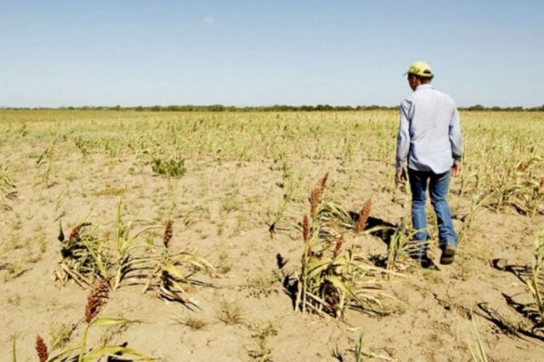 Susbielles se sumó al pedido para que el gobierno nacional homologue la emergencia agropecuaria de Bahía Blanca y otros 38 municipios bonaerenses