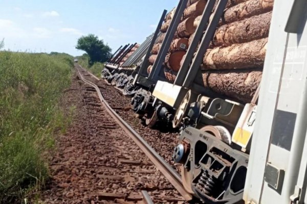 DESCARRILÓ: Tren con madera que partió desde Santo Tomé Corrientes