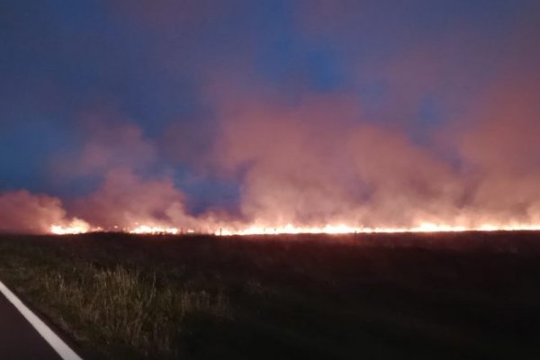 POR FIN! Multaron a establecimiento ganadero en Corrientes por quema de pastizales