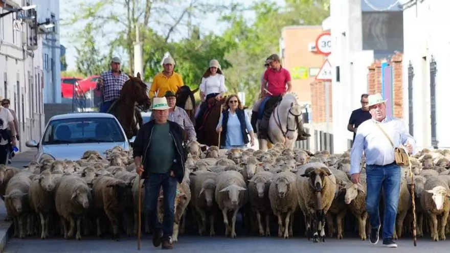 El día de la trashumancia