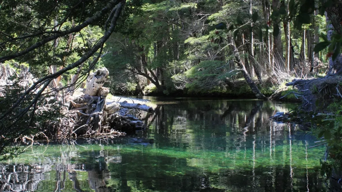 La Patagonia entre sus bellezas también tienen termas