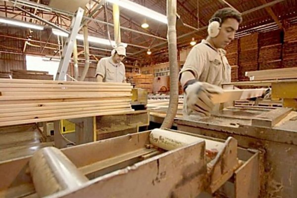 Mientras Valdés asiste en Alemania a una expo forestal en Santo Tomé los madereros claman por ayuda