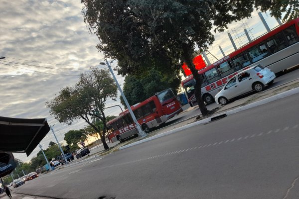 Cae el uso del transporte público en Corrientes