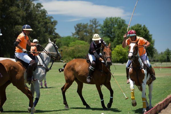 Argentina Polo Day, turismo, deporte e identidad nacional