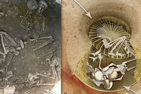 Esqueletos antiguos desenterrados en Francia revelan asesinatos al estilo de la mafia italiana