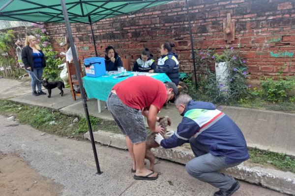 Continúa la vacunación antirrábica