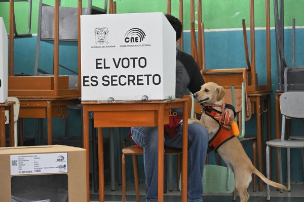 Las 5 cosas que debes saber este 22 de abril: resultados de la consulta popular y referendo en Ecuador