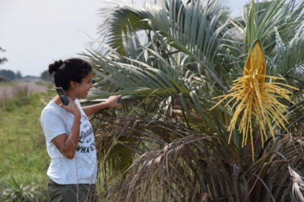 Curuzucuateña Becaria Doctoral del CONICET en Dinamarca