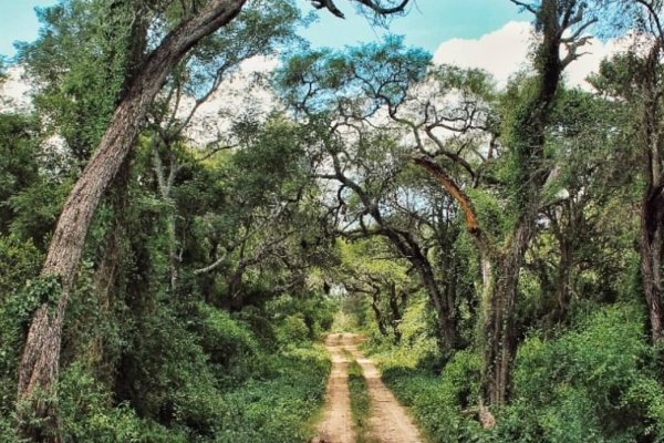 ¿LOS LLEVÓ UN OVNI? Nadie encuentra a una ambulancia, al chofer ni a la enfermera