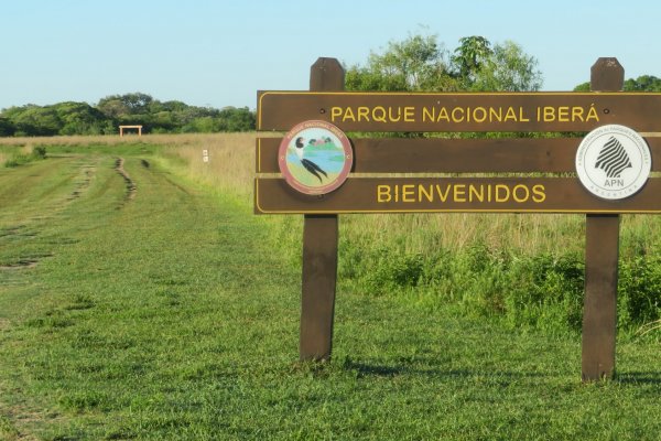 A dos años de los incendios en Corrientes un informe dice que se quemó la mitad del Parque Nacional Iberá