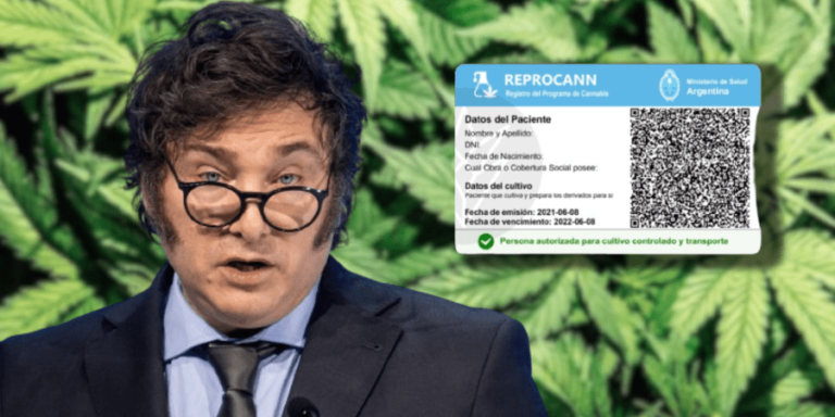 Casación valoró el REPROCANN y absolvió a personas que vendieron semillas de cannabis para cultivo medicinal