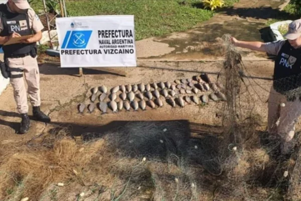 Corrientes: decomisaron casi 50 kilos de pescados y 300 metros de mallón