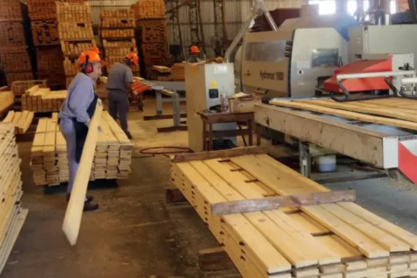 Alarma de algunos empresarios madereros ante una eventual falta de materia prima en Santo Tomé