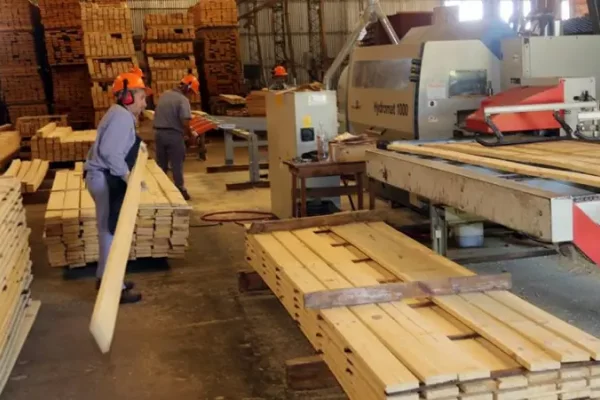 Alerta en aserraderos correntinos: baja producción y personal licenciado