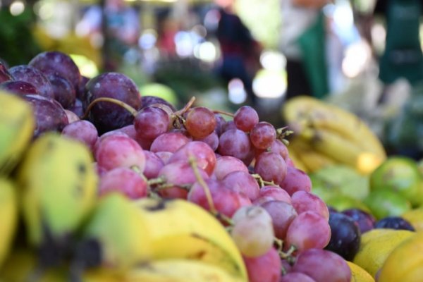 Las ferias estarán hoy en Plaza Torrent y Plaza Los Amigos