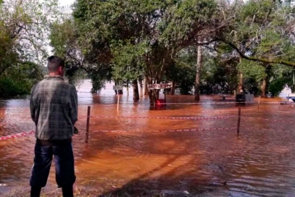 Hay alerta por creciente del Río Uruguay y activan comité de crisis