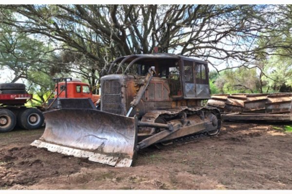 SIN FRENO! Detienen otra topadora que tumbó 800 hectáreas de bosques nativos