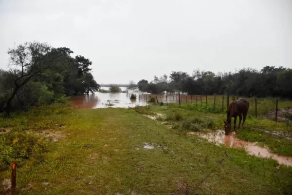 El río Uruguay avanza y familias dejan sus casas