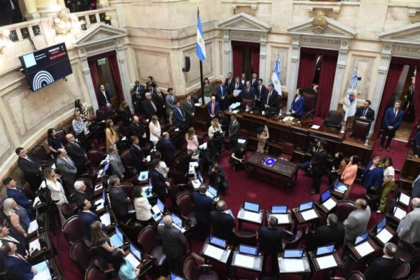 Denuncian que se entregó al Senado una ley Bases diferente a la votada en Diputados