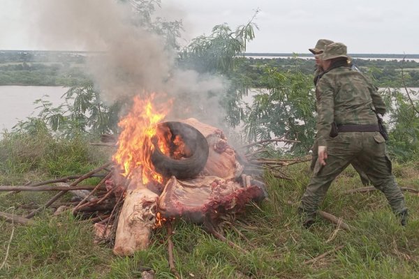 PELIGRO! Secuestran más de 1000 kilos en carnicerías del interior de Corrientes