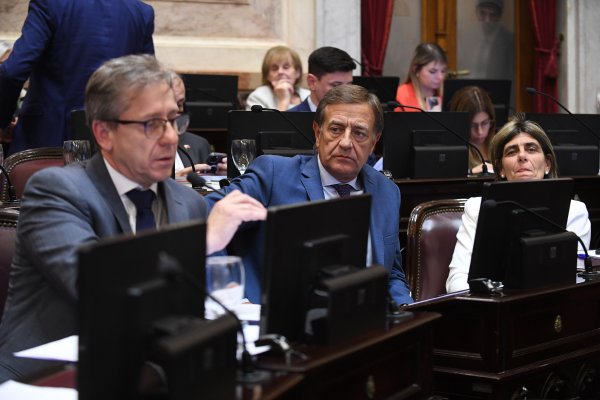 PROPUESTA: Ficha Limpia para los futuros candidatos motoriza el Senador Vischi