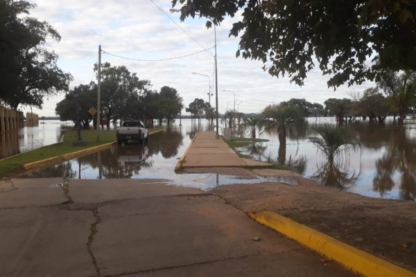 Río Uruguay: comenzó a descender gradualmente pero localidades siguen en estado de evacuación