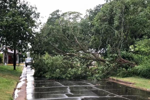 Un intenso temporal dejó a Mocoretá sin luz por 12 horas