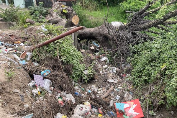 Basurales: reclamos de barrios del sur de la ciudad de Corrientes