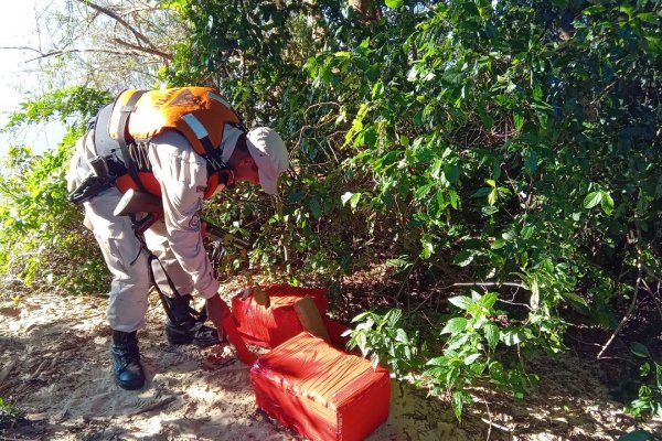 Prefectura secuestró un cargamento millonario de cannabis en una isla de Corrientes