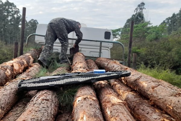 CAMIONEROS! Detenidos con armas de fuego y animales silvestres faenados