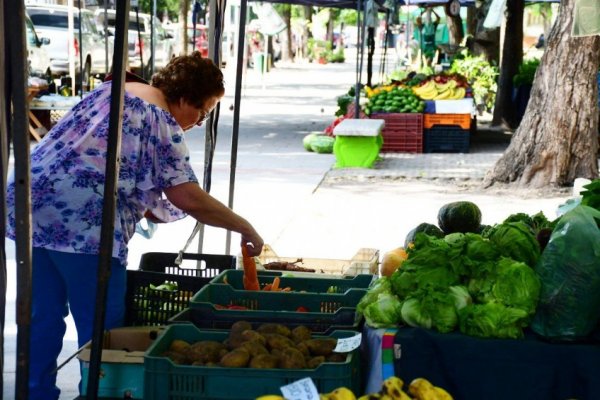 Las Ferias de la Ciudad inician junio con un nuevo recorrido por espacios públicos