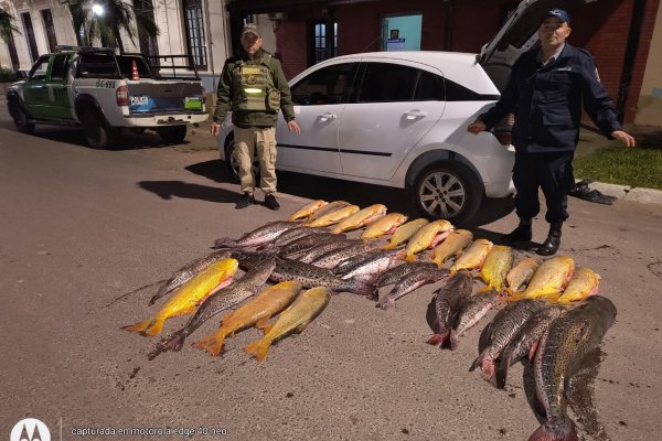 PESCADOS! Infragantis demorados por llevar Dorados y Surubíes en el baúl