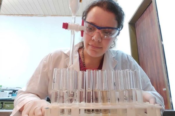 Vainas de Porotos terciopelo: de residuo agrícola a fuente de compuestos bioactivos