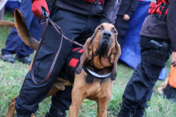 LOAN! Imputaron por abandono de persona a las tres personas que lo vieron en Corrientes por última vez