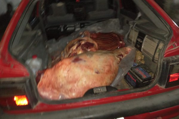 LA OTRA INSEGURIDAD! El abigeato hace estragos en Corrientes