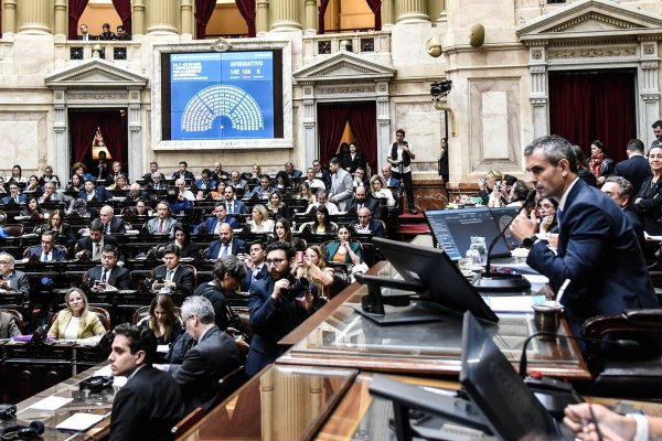 AMENAZA! Un diputado correntino afirmó que votará en contra de la Ley Bases si sacan el tema de la trata