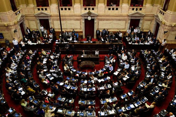 Ley Bases aprobada: radicales correntinos votaron a favor y junto a LLA