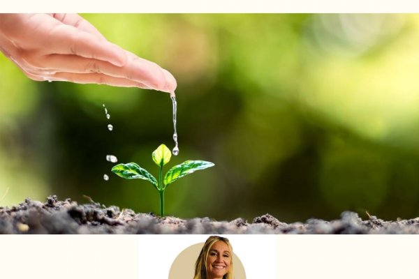 ¿Cuál es tu aporte positivo en el entorno? -Desarrollo Humano-