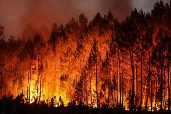 El Pacto de Mayo se olvidó por completo de la ecología