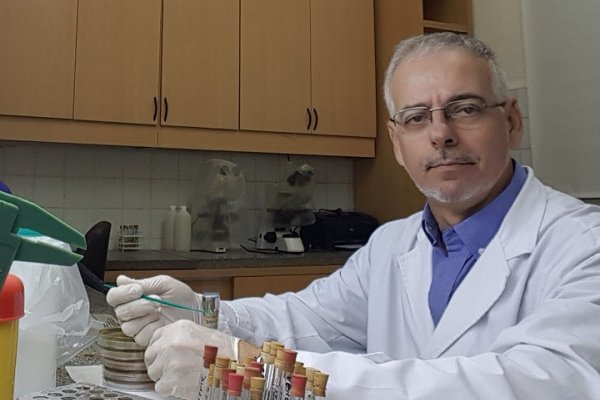 Una nueva generación de antibióticos se alista para combatir a las superbacterias