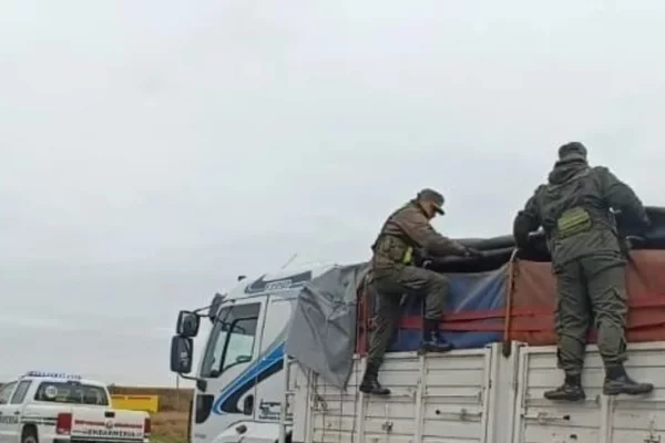 Corrientes: incautaron 125 toneladas de granos valuados en más de $140 millones