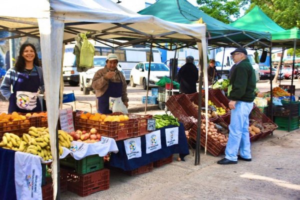 Miércoles 17 de julio: plaza Torrent es el lugar elegido por los feriantes