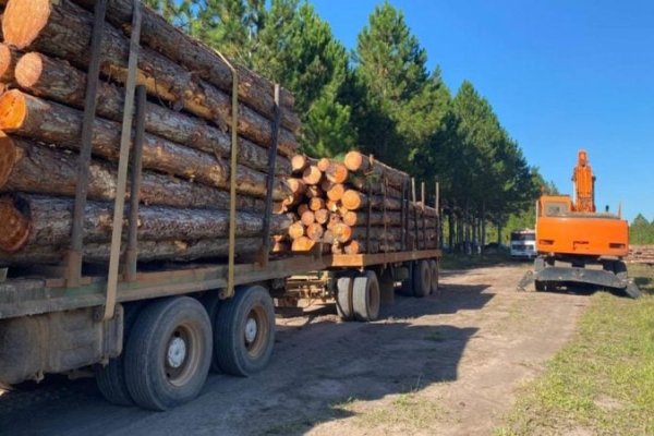 El impacto negativo de la economía nacional en las economías regionales de Corrientes