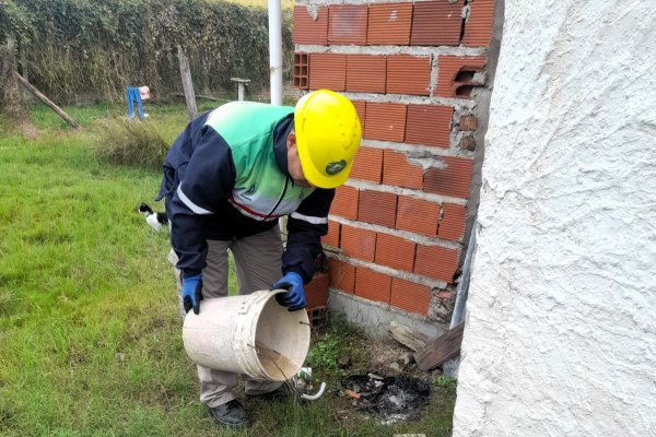Salud recuerda tomar precauciones por Dengue