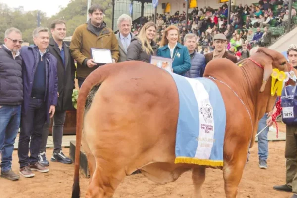 Visita a la Rural: el gobernador de Chaco habló del gesto que espera de Milei hacia el campo